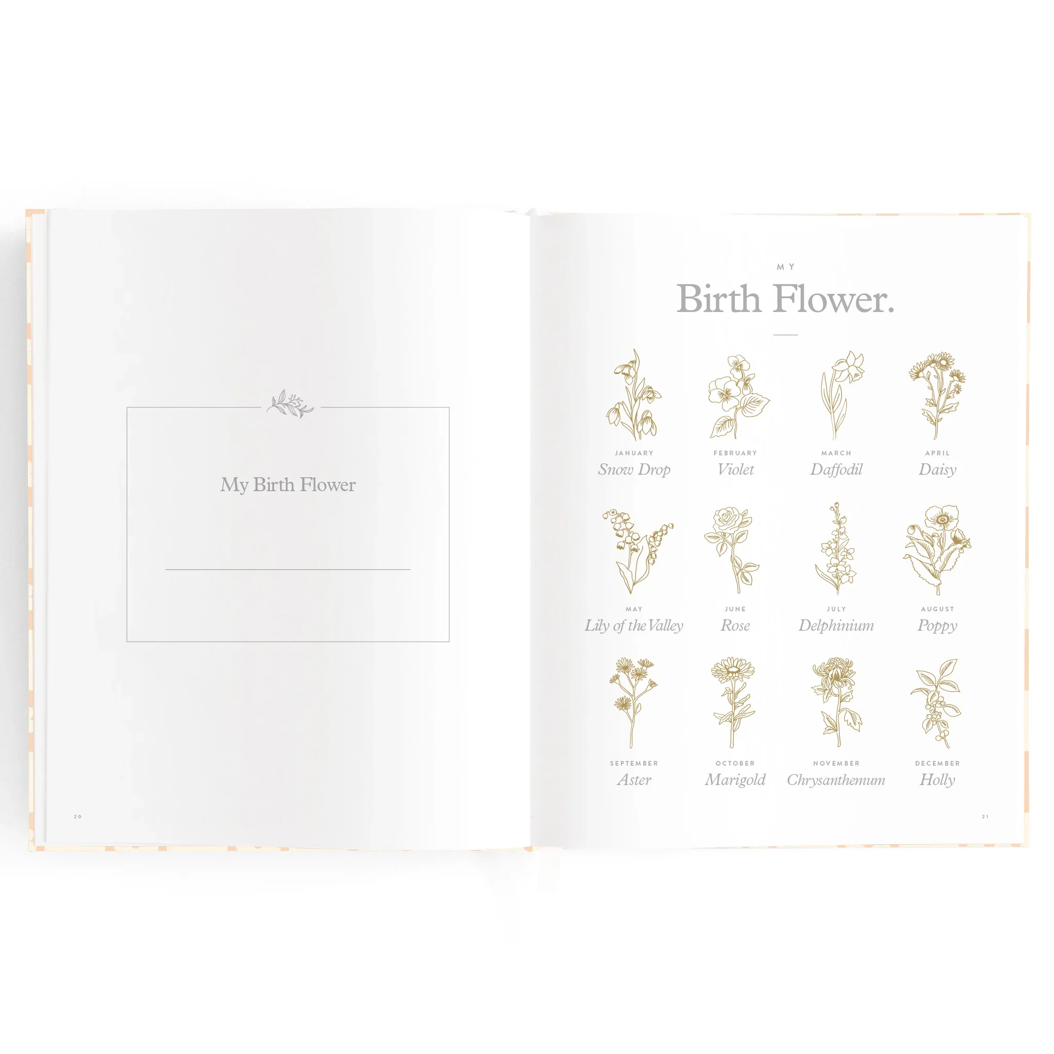 Baby Book | Daisy Grid - Image 13