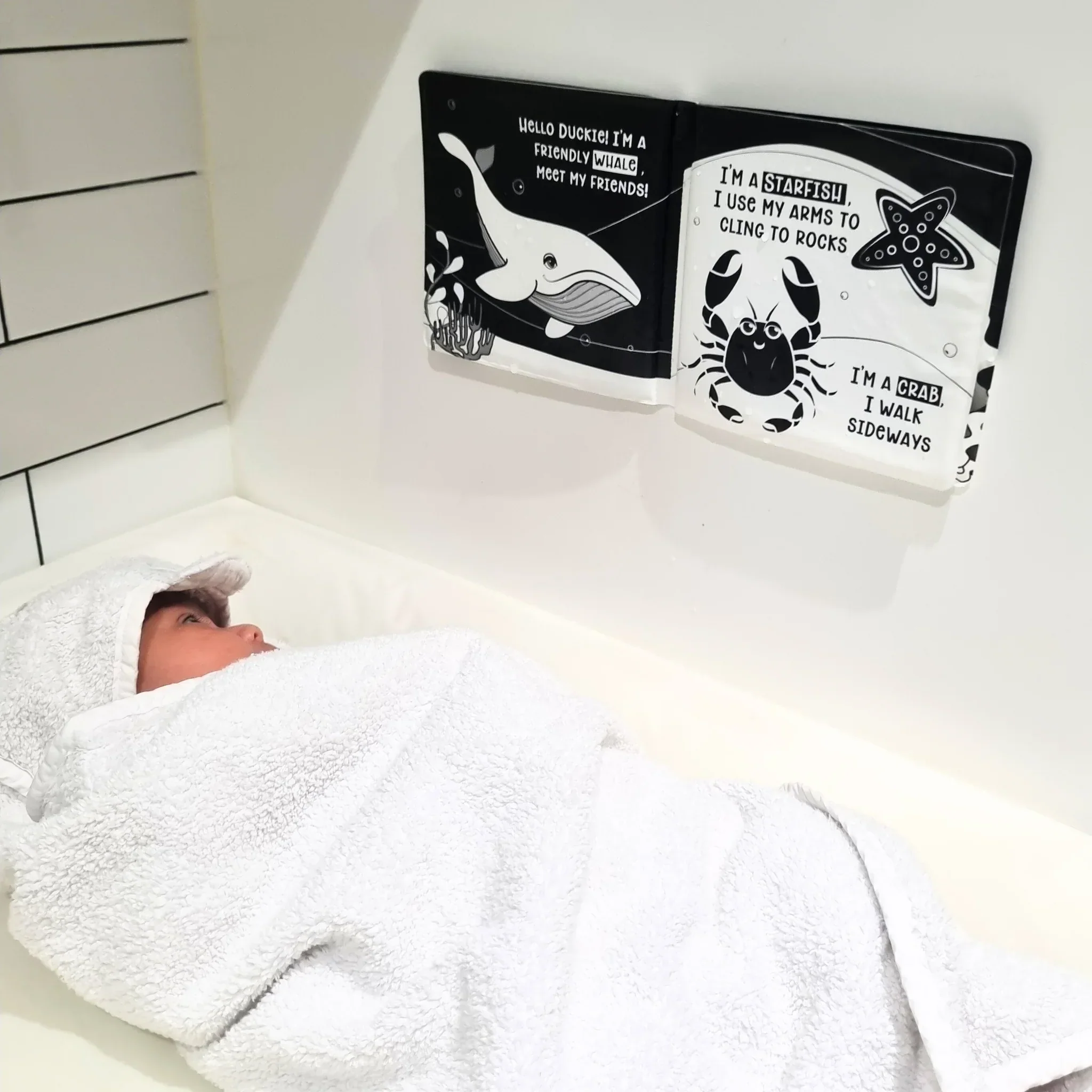 Black and White Bath Book | Duckie Goes On An Adventure - Image 5