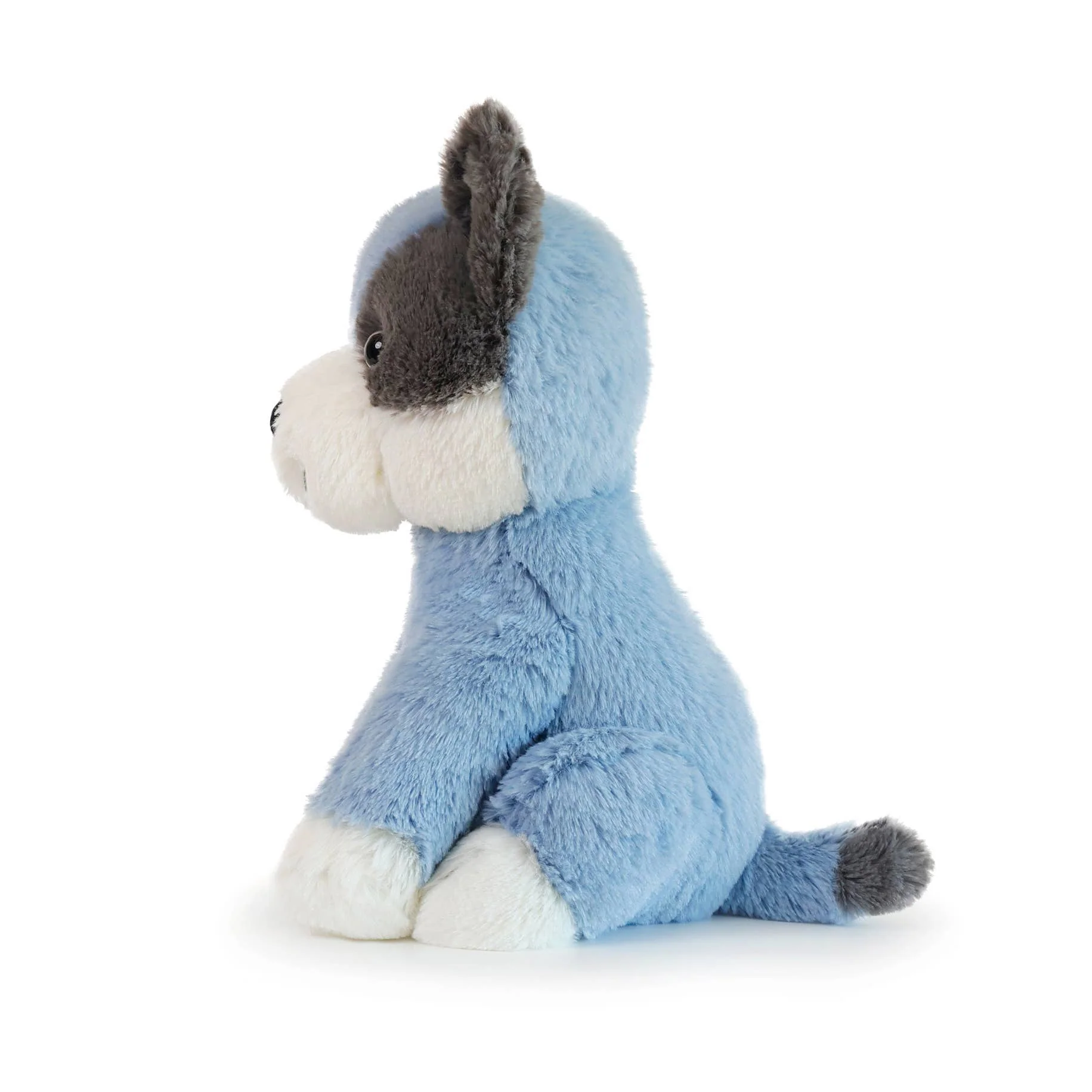 Cal Cattle Dog - Image 2