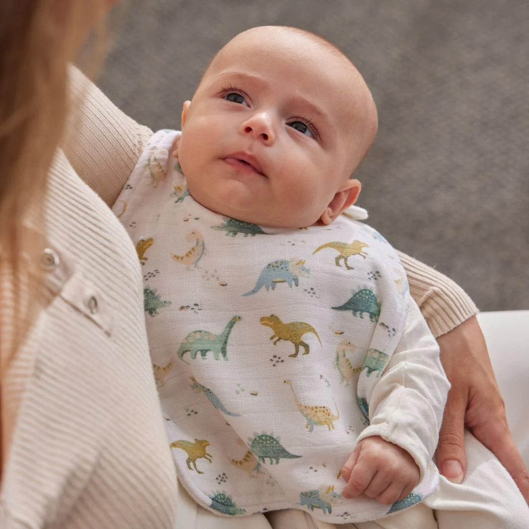 Muslin Bib Set of 2 - Dallying Dinosaurs - Image 2
