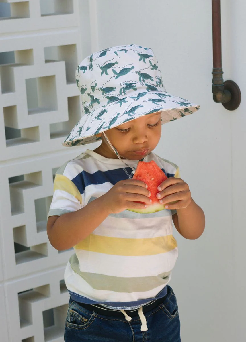Hat | Wide Brim - Turtles - Image 2