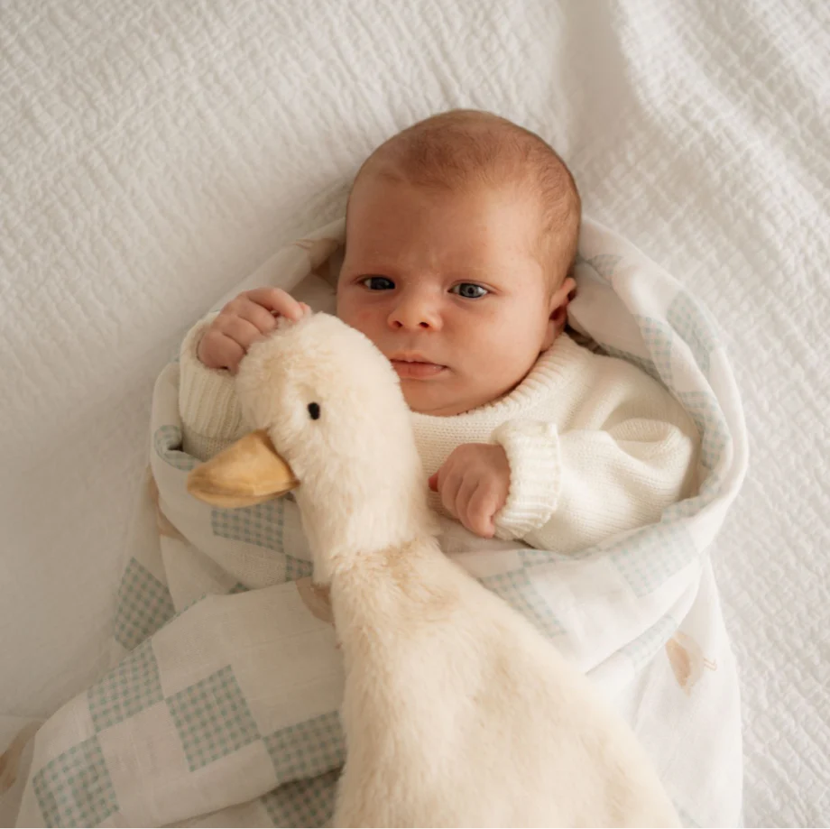 Comforter | Waddles the Goose